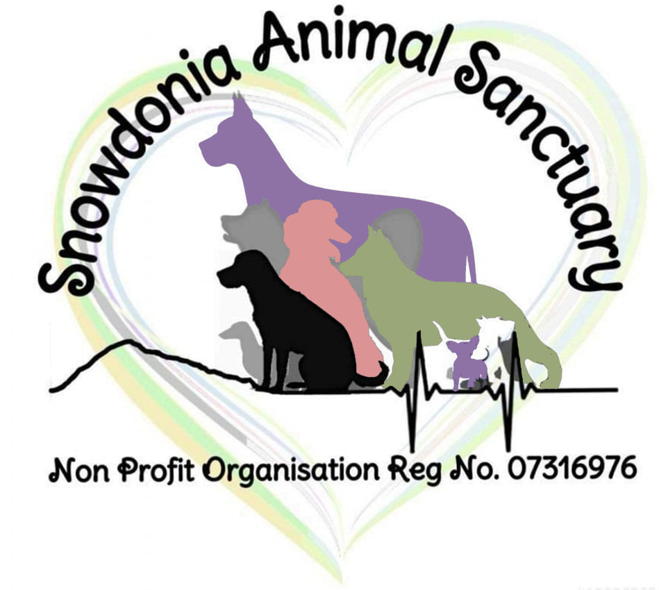 Snowdonia Animal Sanctuary